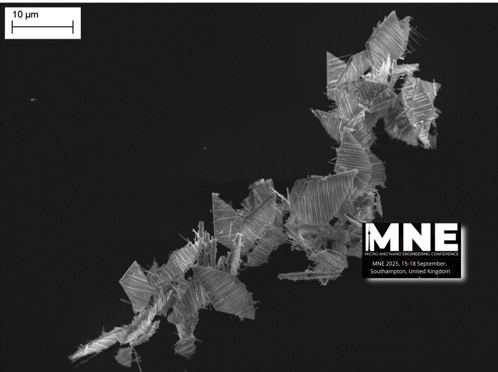 international Micro and Nano Engineering society