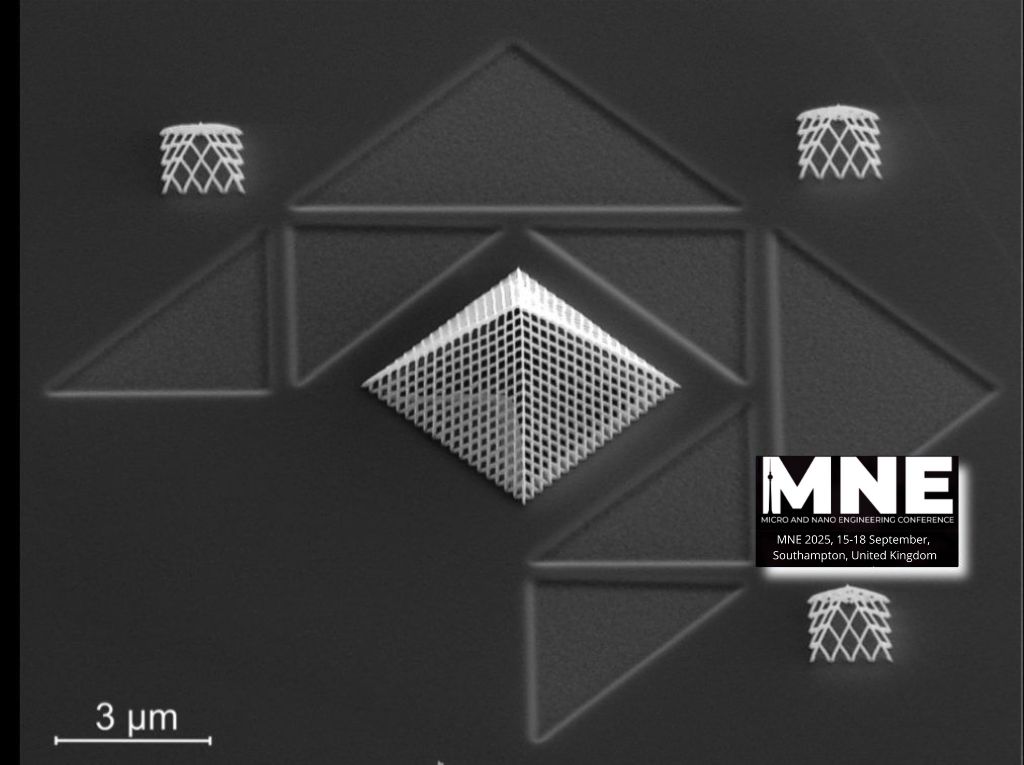 international Micro and Nano Engineering society